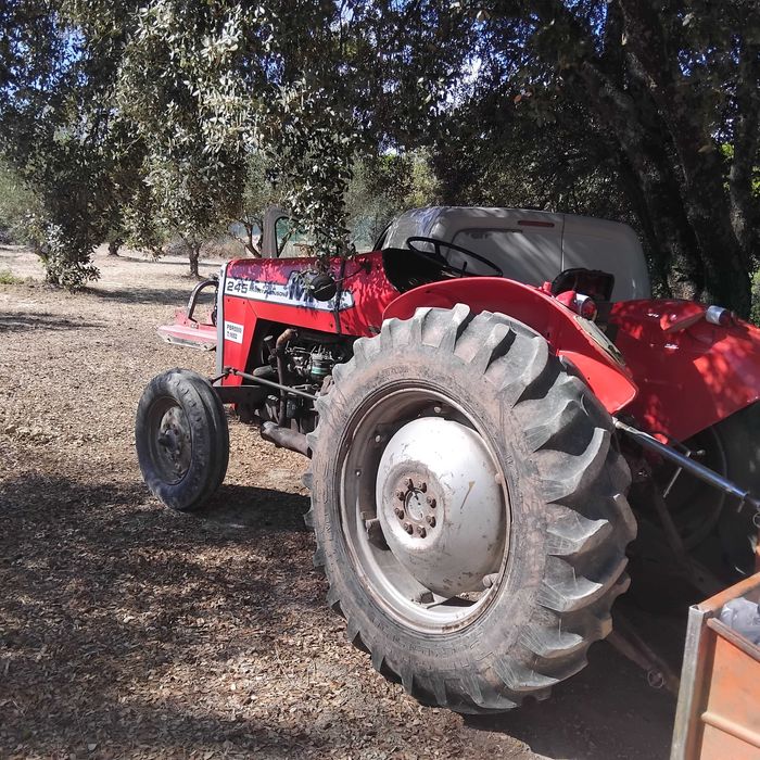 Trator  Massey Ferguson  245