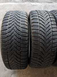 Зимові шини Lassa Snoways 3 (195/55 R15 85H)