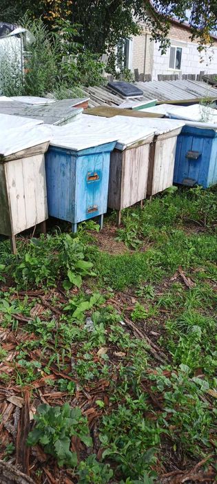 Вулики б/у Українські.