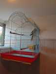 Vendo gaiola grande 69 de altura ,comprimento 50,, largura4045 euros