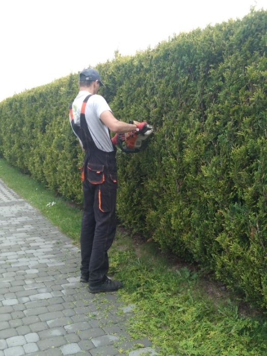 Wycinka Pielęgnacja Zrąbkowanie Koszenie Odśnieżanie Wywóz Rozbiórki