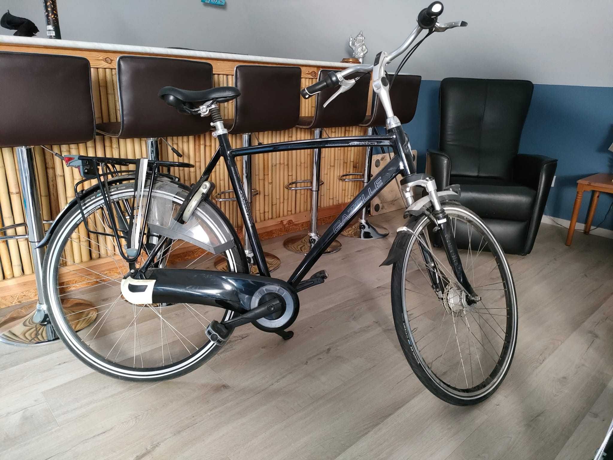 Rower Gazelle Chamonix plus