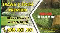 Trawa z rolki, trawa w rolce, trawa ogrodowa Trawa PREMIUM