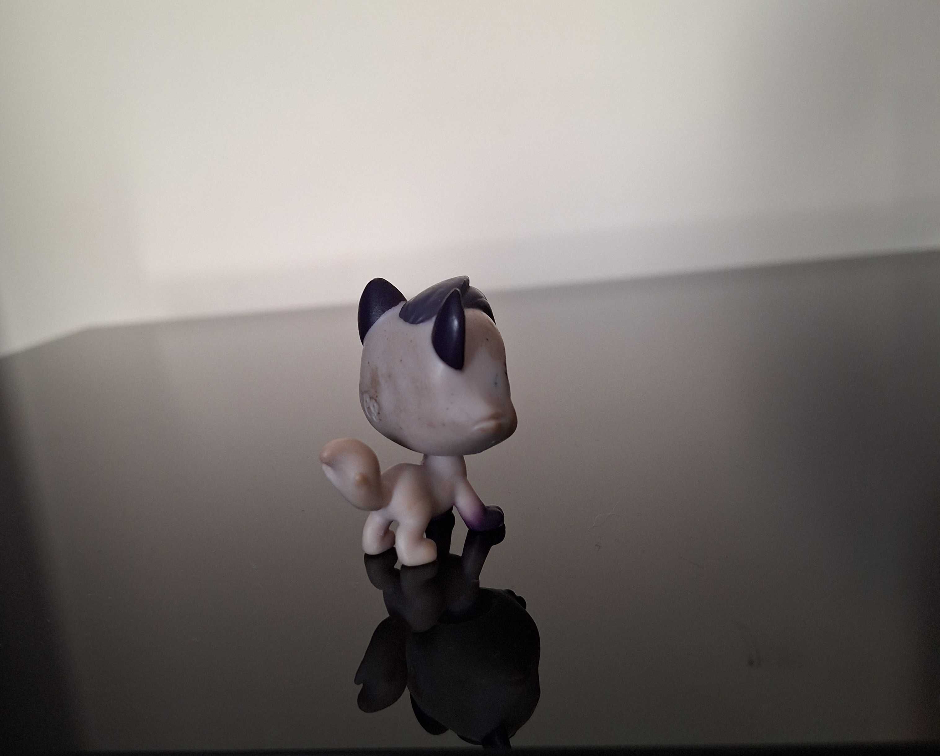 Littlest pet shop kot perski