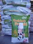 Golden Protein śruta rzepakowa ekstrudowana odpowiednik Amirap Efekt
