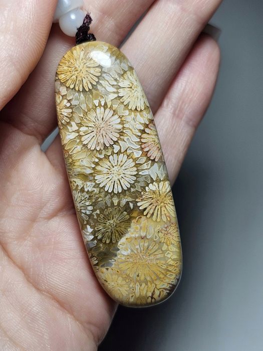 Koral kopalny naturalny.