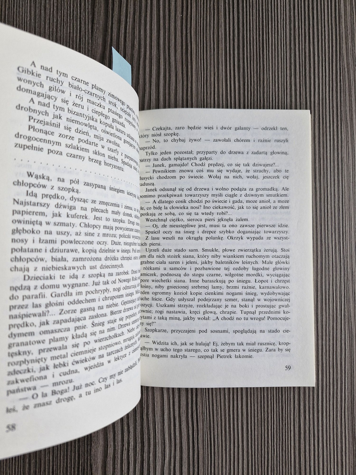 8412. "Książęta boru" Helena Mniszkówna