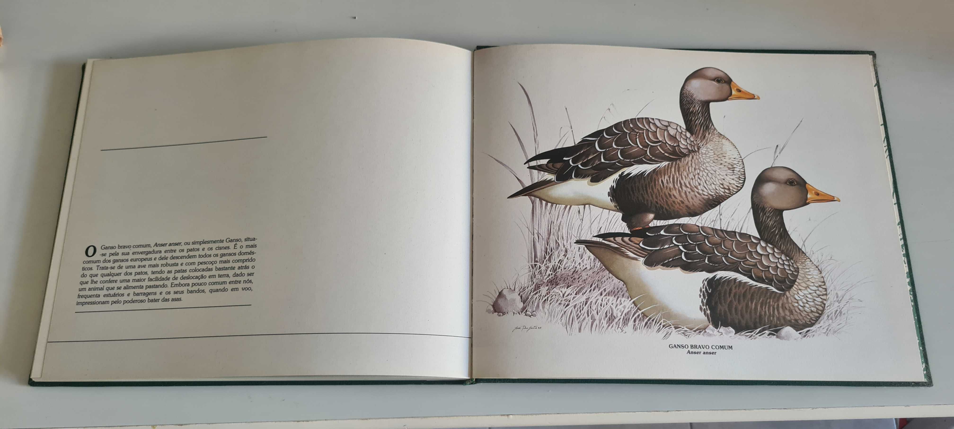 Livro Os Patos (com 4 ilustrações para emoldurar)