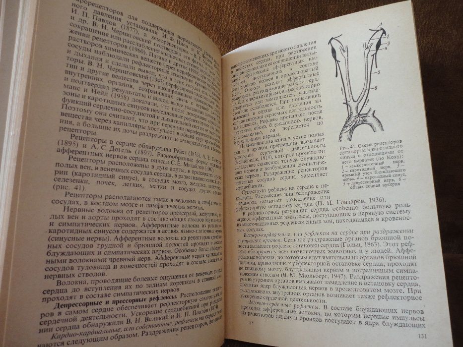 Гальперин С. И. Физиология человека и животных (1977)