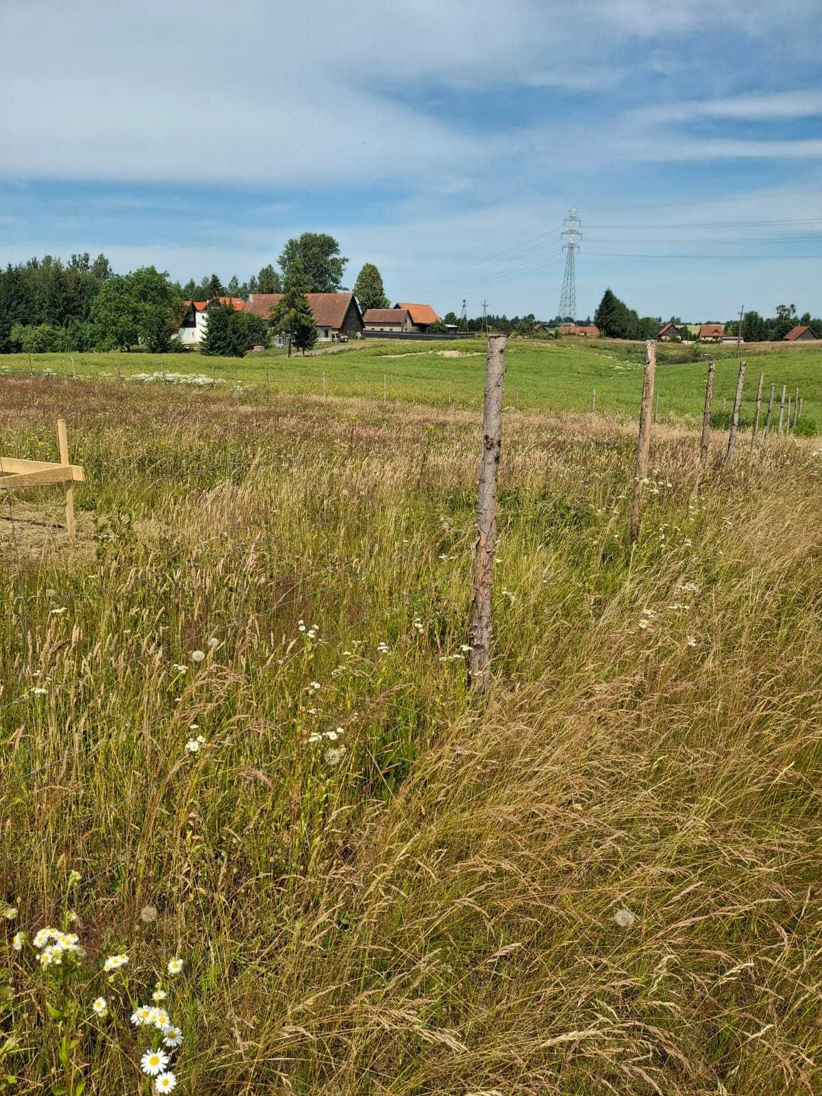 Działka Kalskie Nowiny nr 72/15 pow. 0.1526ha