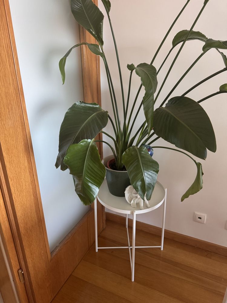 Mesa GLADOM IKEA