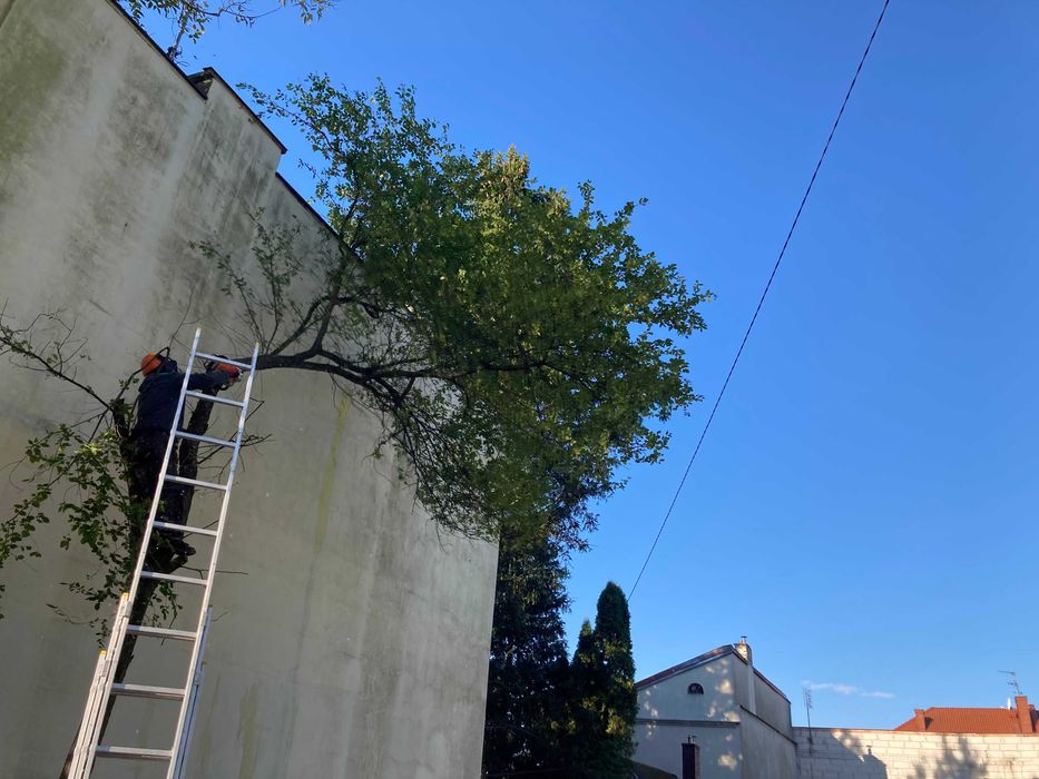 Wynajem/Usługi Rębakiem  Wycinka Drzew  Podnośnik 22m Mielenie gałęzi