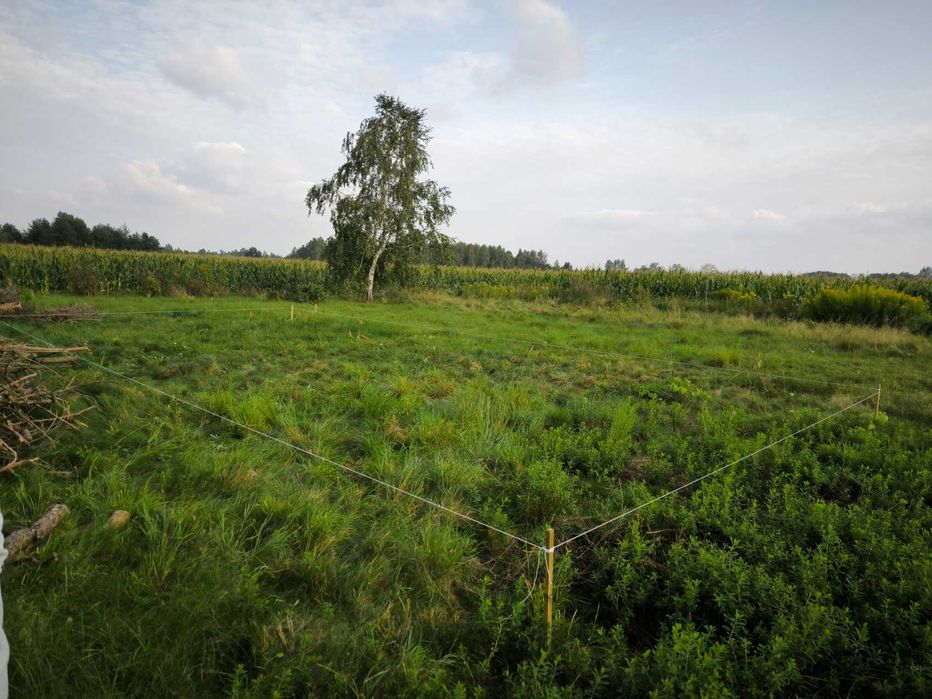 Działka 1684m2 z WODĄ i PROJEKTEM domu. Wólka Czarnińska. Media!