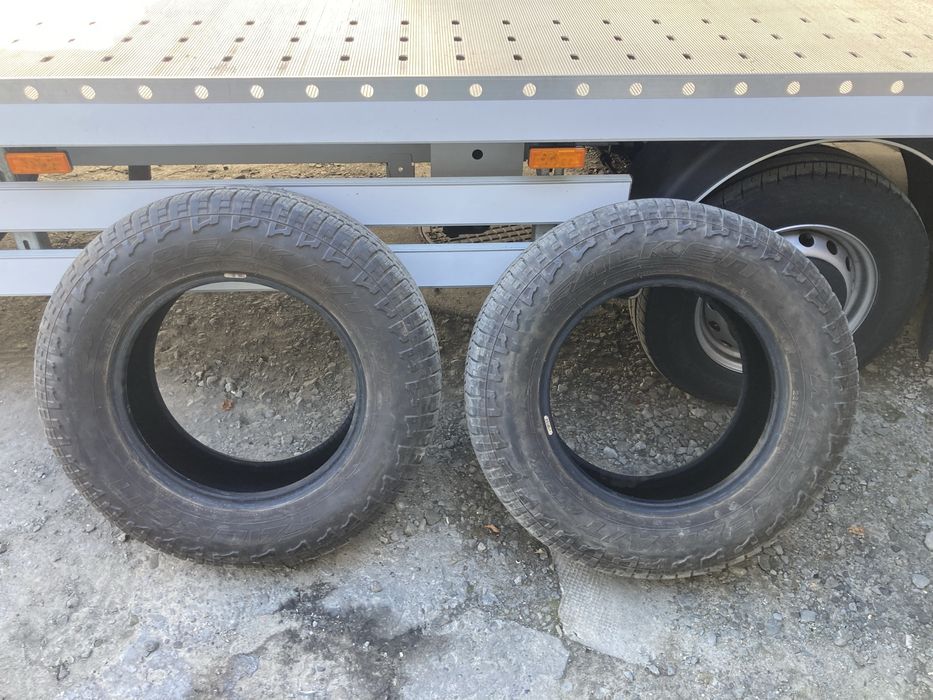 Opony Falken Wild Peak A/T