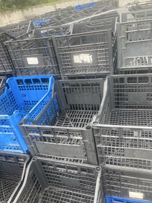 Skrzynki plastikowe na warzywa, owoce, inne.
