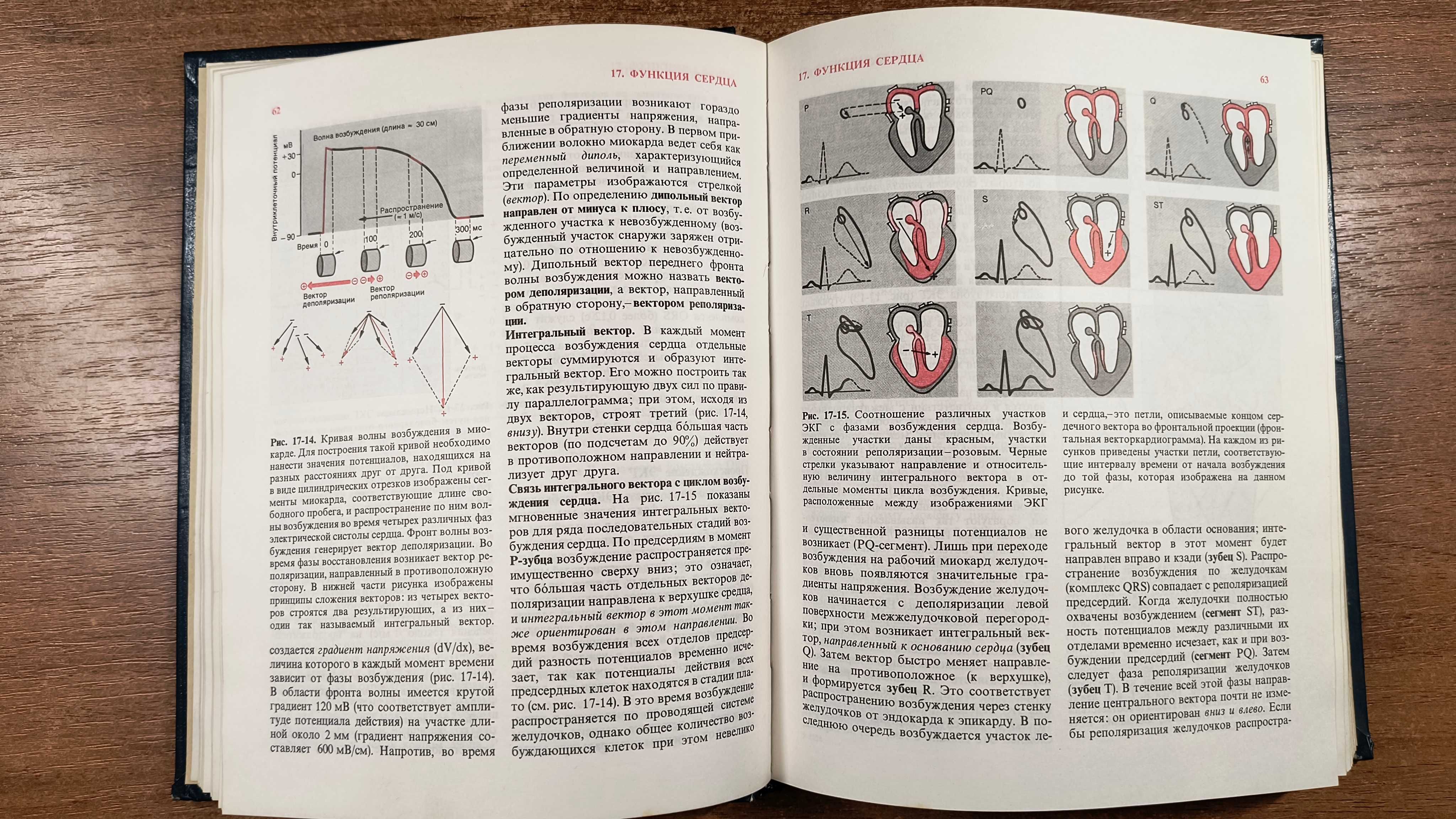 Физиология человека Том 3: Кровь, Кровообращение, дыхание (Шмидт)