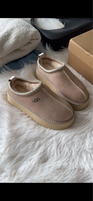 ugg tazz ugg tasman