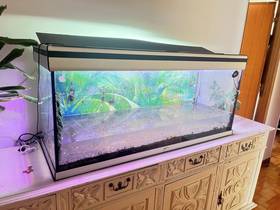 Aquario grande 120x40x45