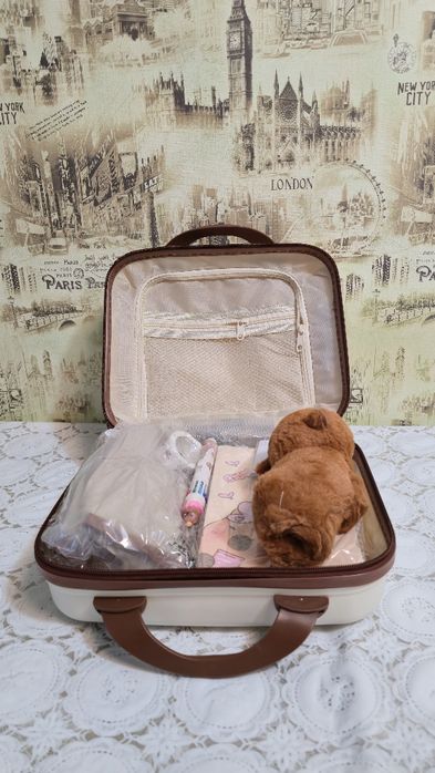 Набір канцелярії Capybara кейс з капібарою, блокноти, наліпки, ручки