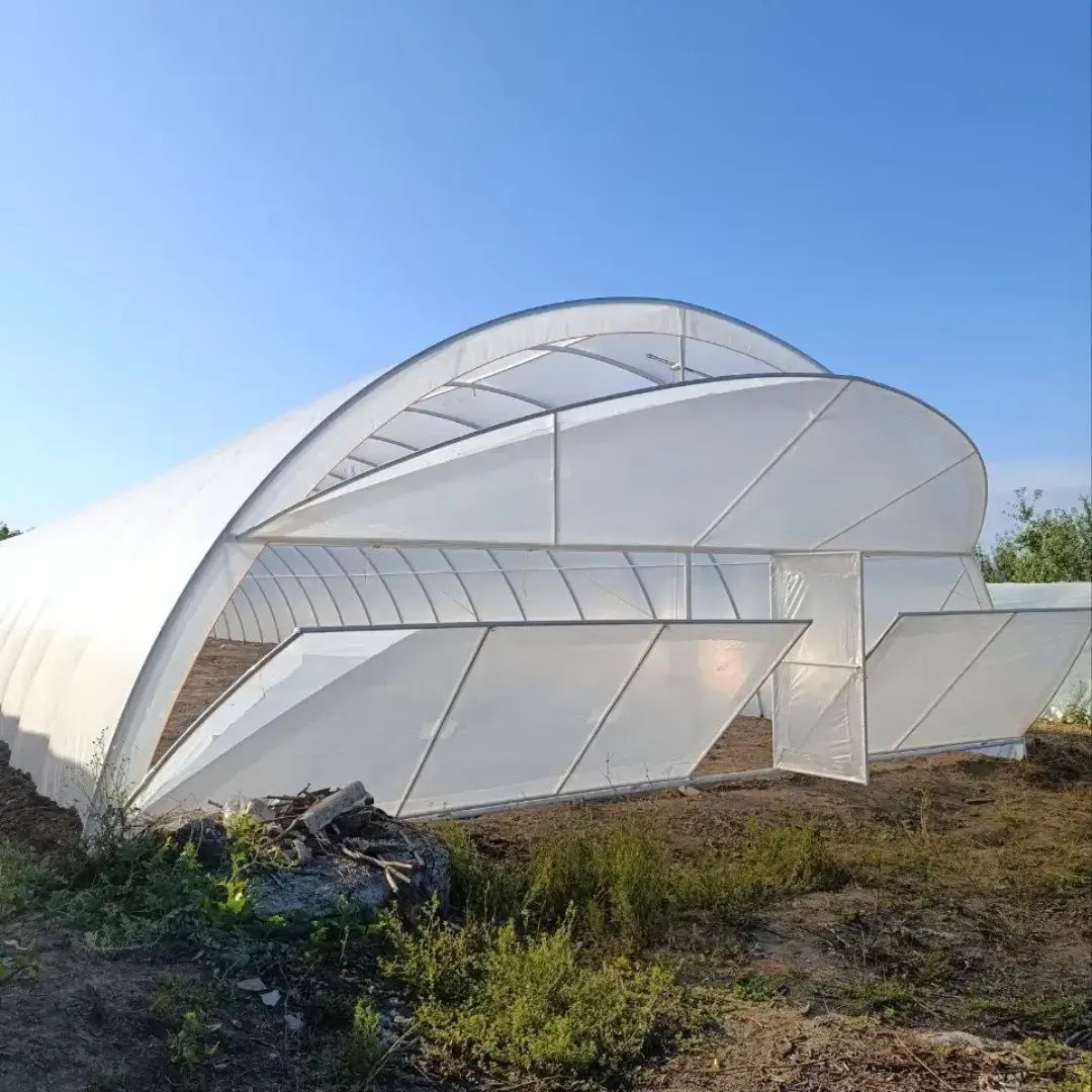 Теплиця 10×50 Оцинкована