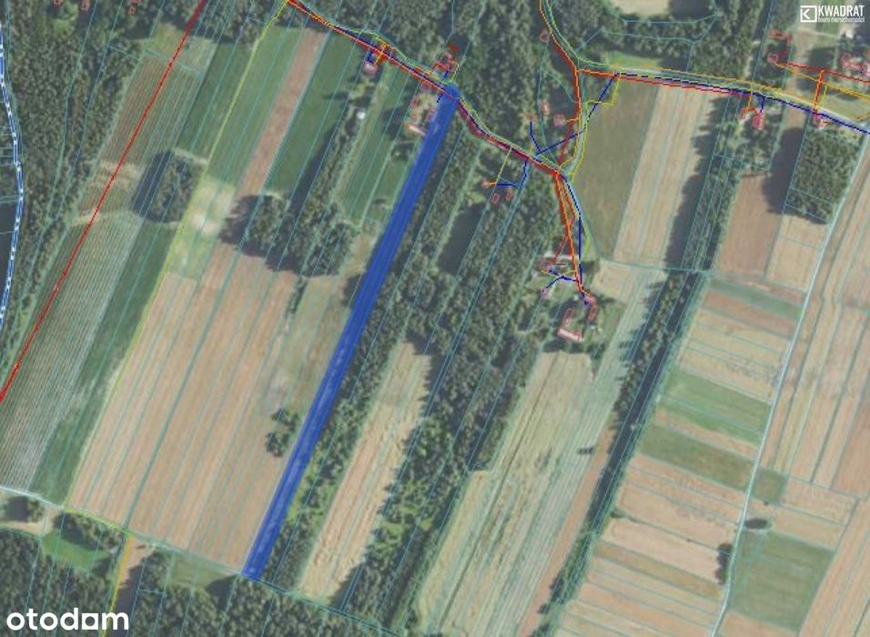 Działka 8612 m2, Majdan Skrzyniecki