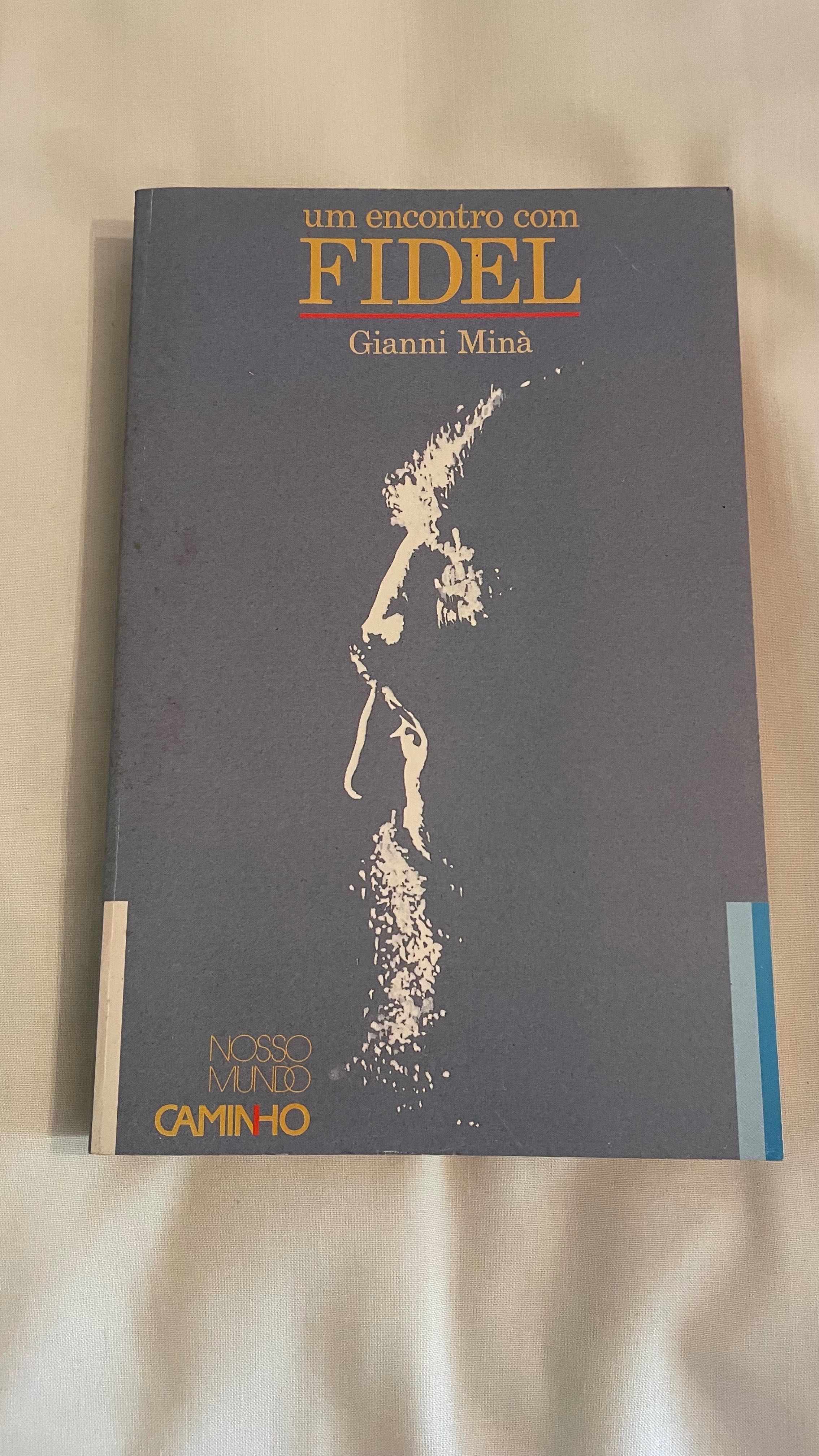 Livro Um Encontro Com Fidel