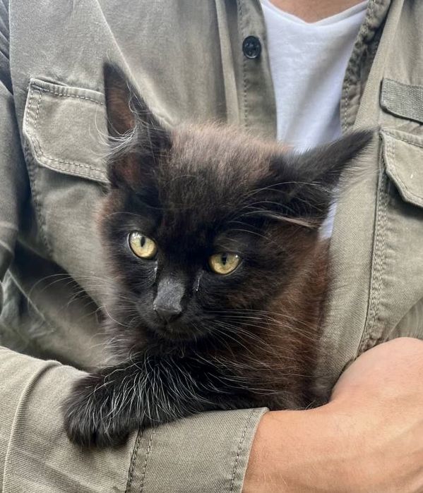 Хлопчик 4 місяці, в добрі руки.