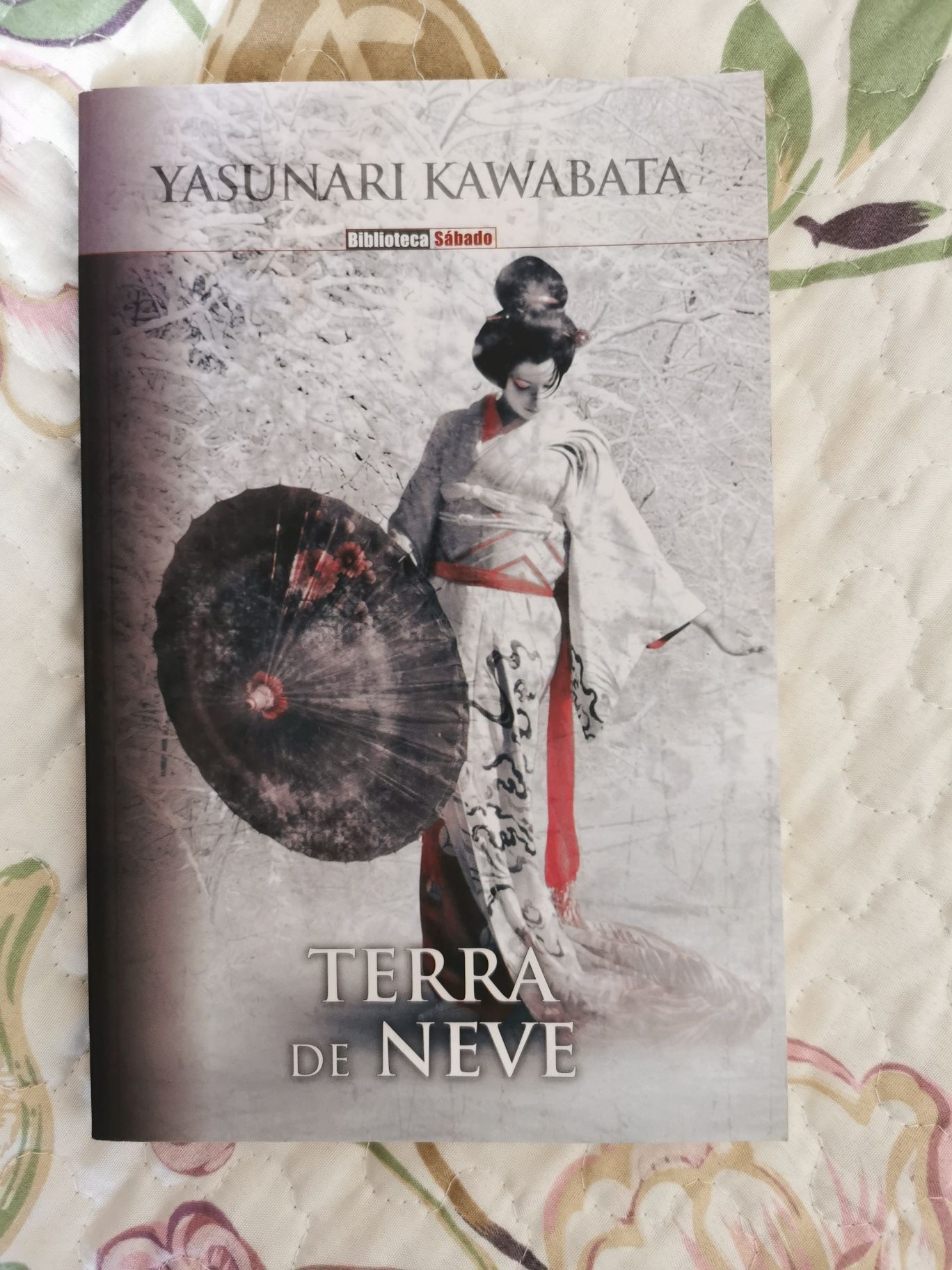 Terra de Neve de Yasunari Kawabata