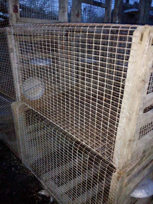 продам клітки/клетки