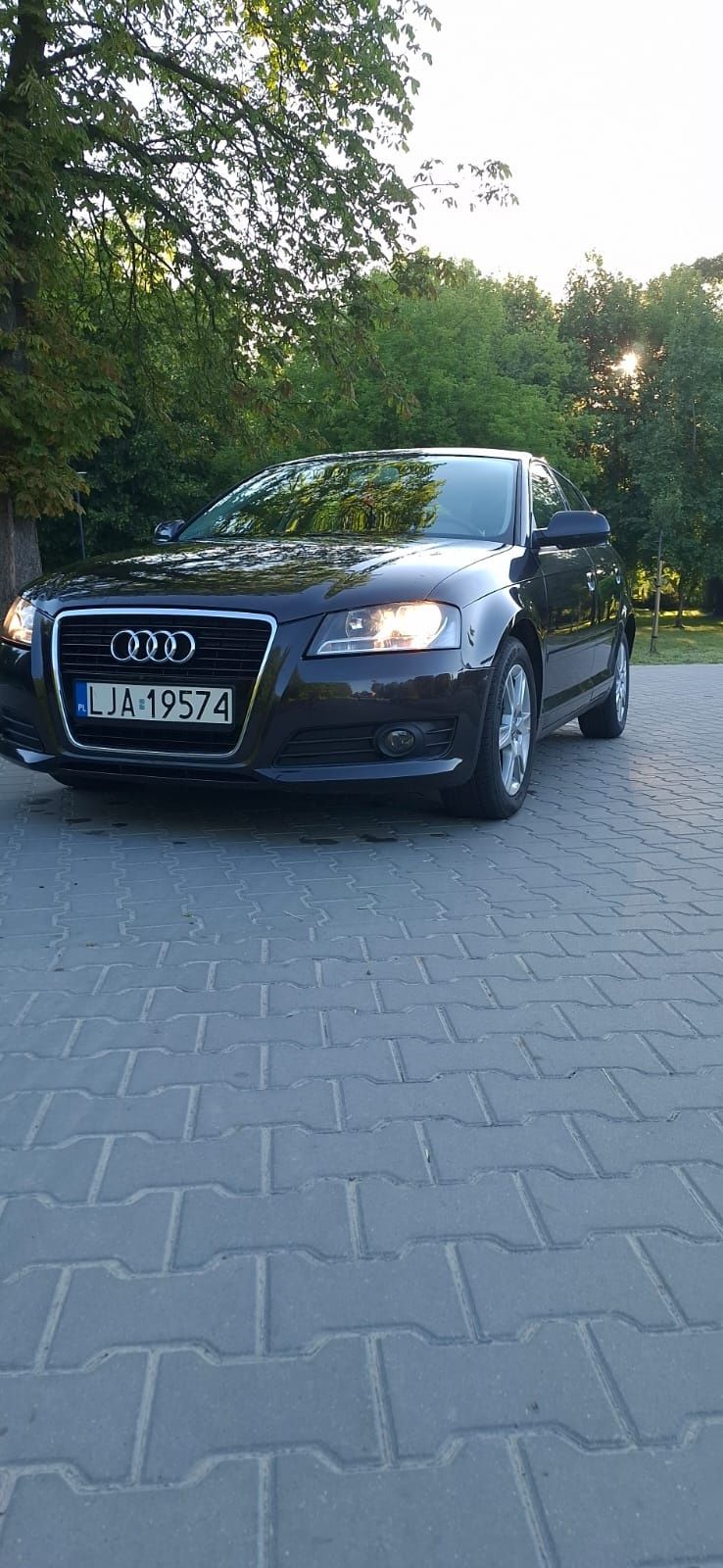 Audi a3 8p 2012r