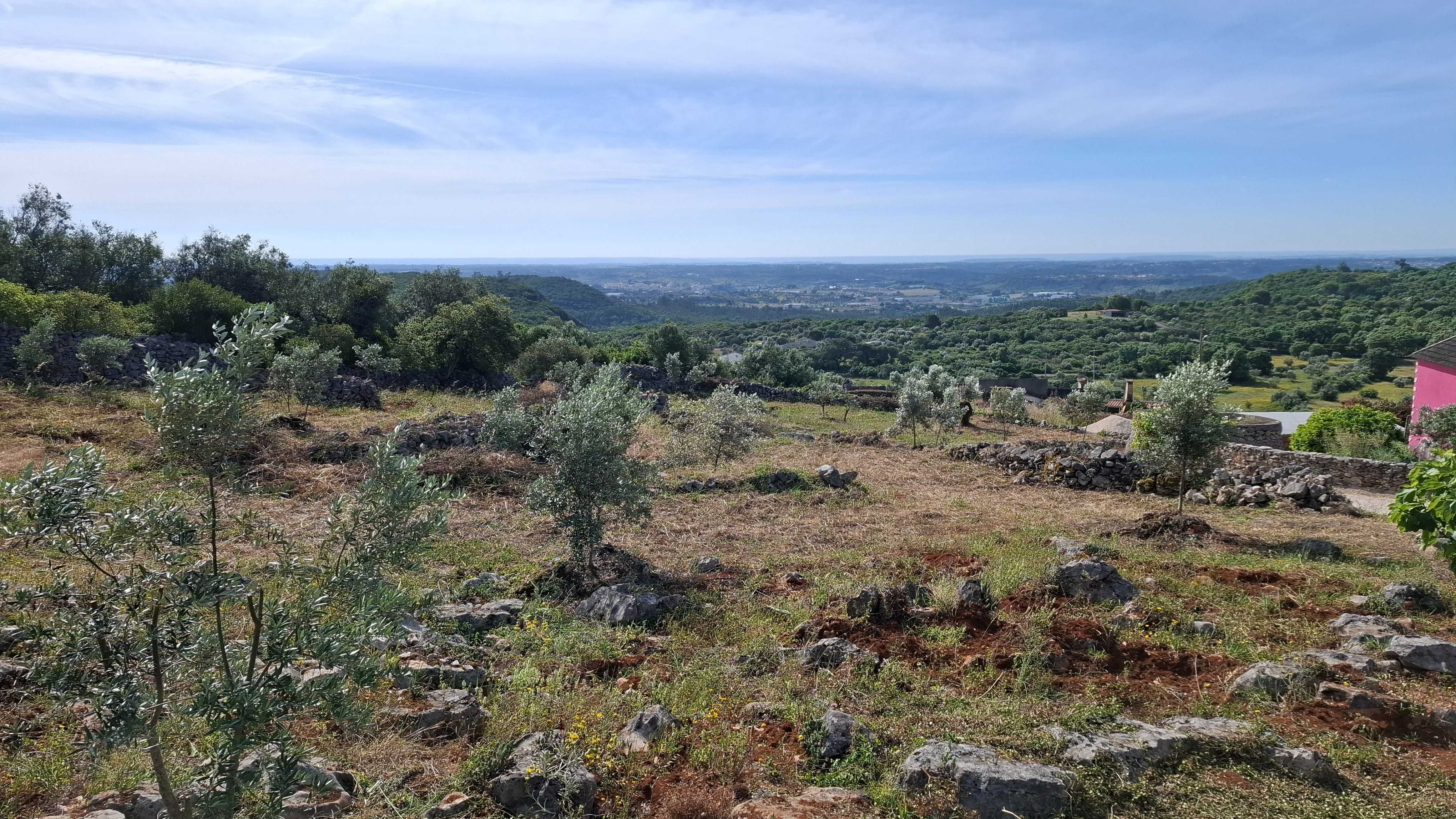 Terreno Rural, para venda nos Casais da Moreta. Monsanto ACN Santarém.