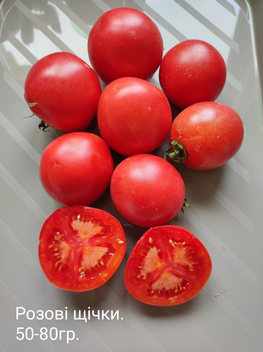 Насіння помідорів