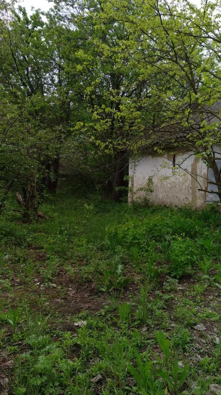 Продаю домик, землю 40 соток, (село Лукьяновка, Барышевский р-он)