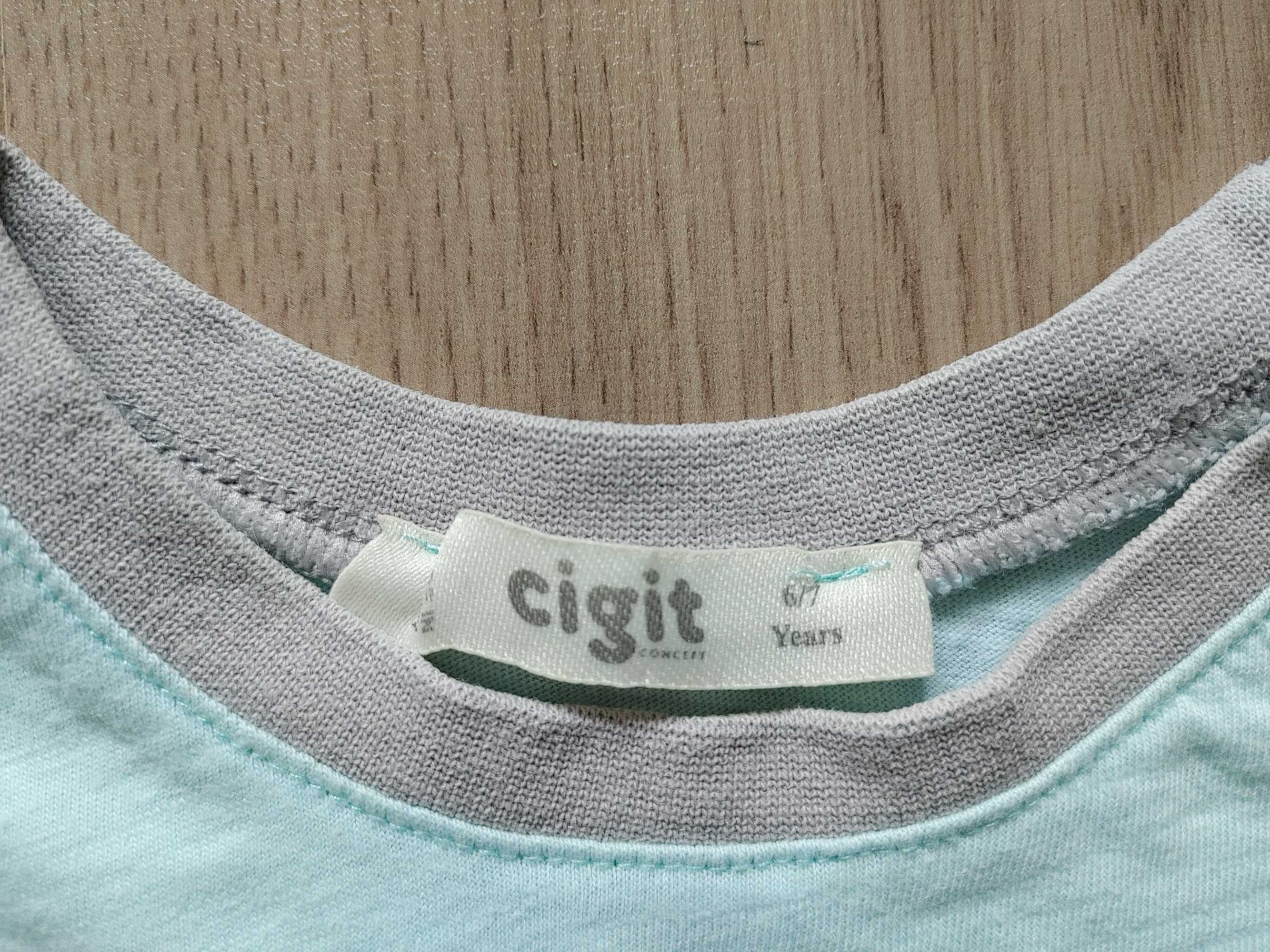 Cigit koszulka t-shirt 116