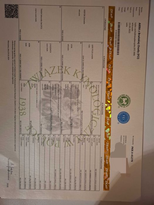 Łajki zachodniosyberyjske