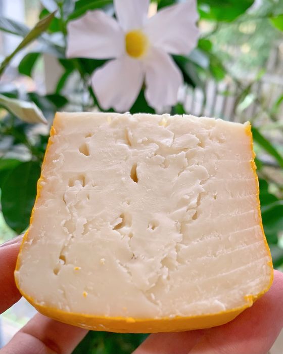 Козячий крафтовий сир