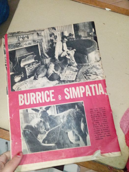 Revista Eusébio na capa