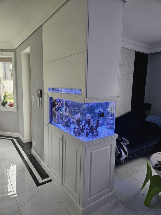 Zestaw w zabudowie - akwarium morskie 250l 100x50x50
