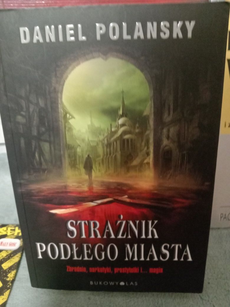 Strażnik podłego miasta , Daniel Polansky.