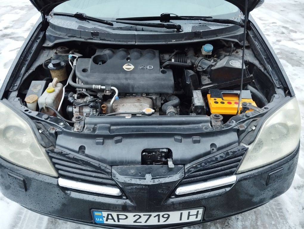 Nissan primera p12 2006