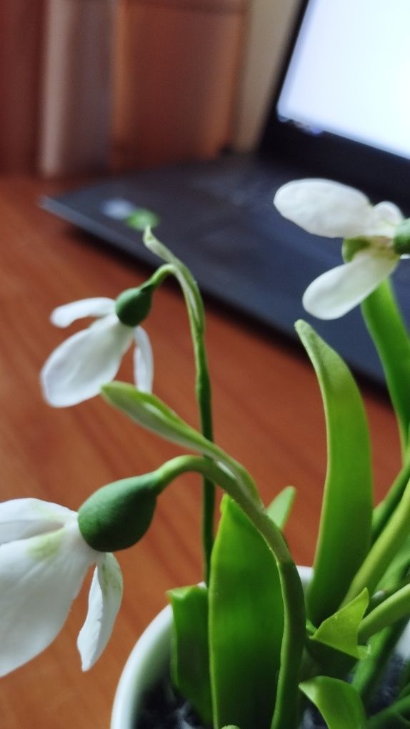 Продаю подснежники   из холодного фарфора