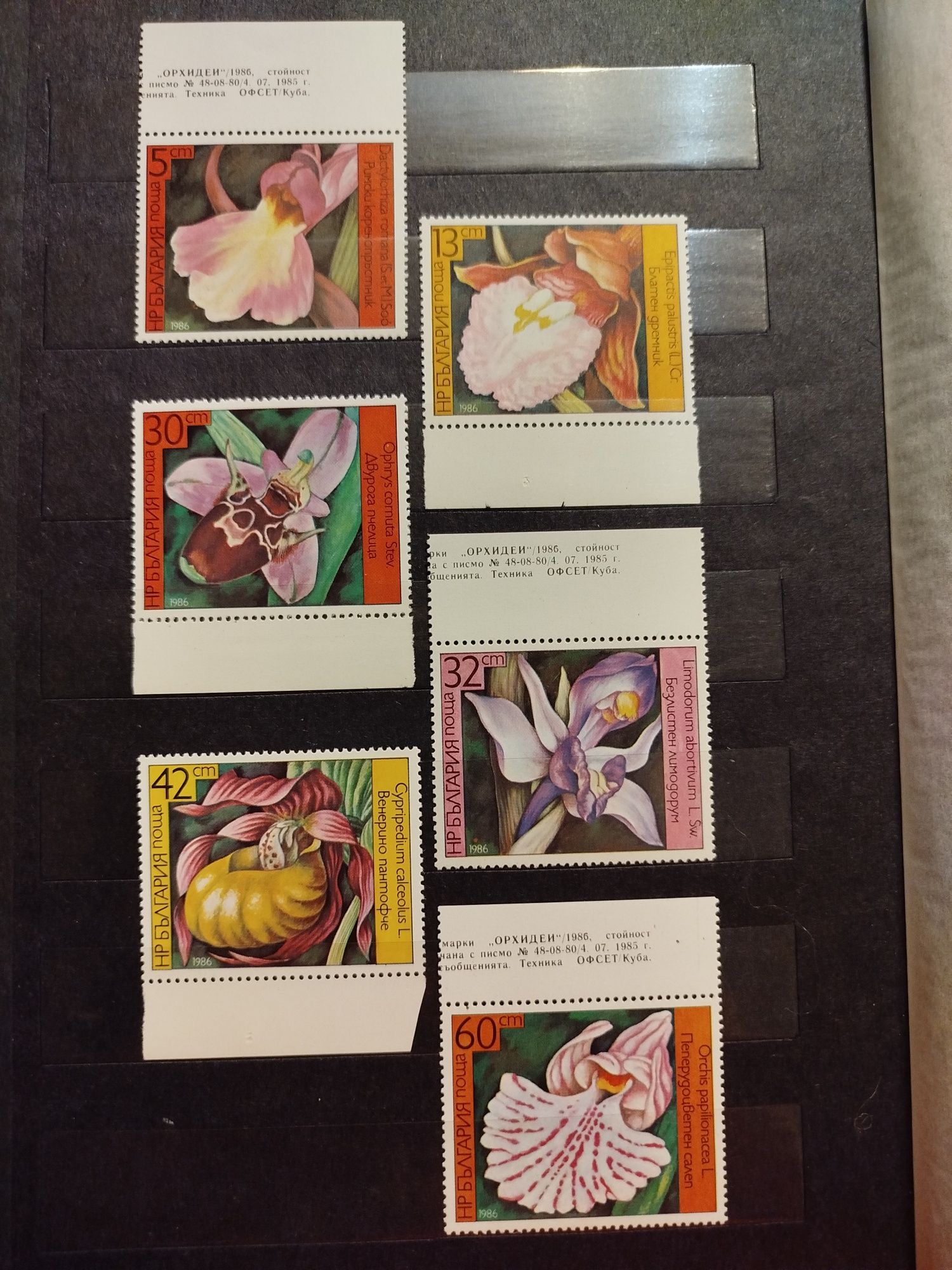 Znaczki Bułgaria 1986 flora kwiaty