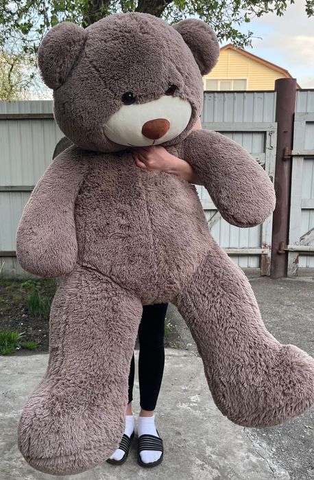 Іграшковий ведмідь