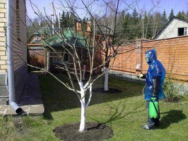 Опрыскивание сада, услуги садовника, обрезка деревьев