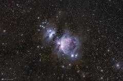 Dom Bieszczady pies widok ferie wakacje wyłączność Wetlina nocleg Góry