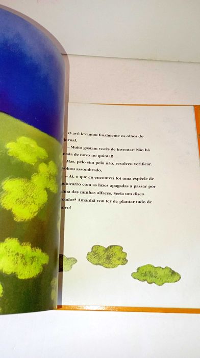 Quem está aí? - Luísa Ducla Soares