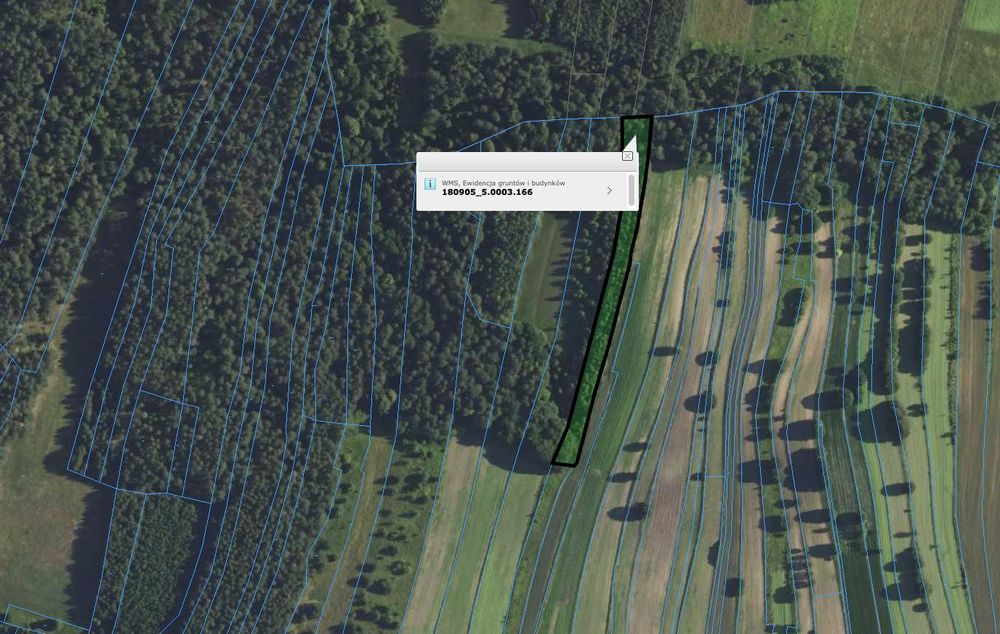 Działka leśna nad Tanwią