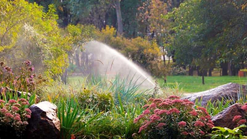 Automatyczne Nawadnianie RAINBIRD HUNTER Ogrody Rośliny Trawa z rolki