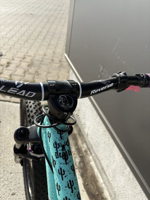 Dirt Ns decade 2025r toothpaste