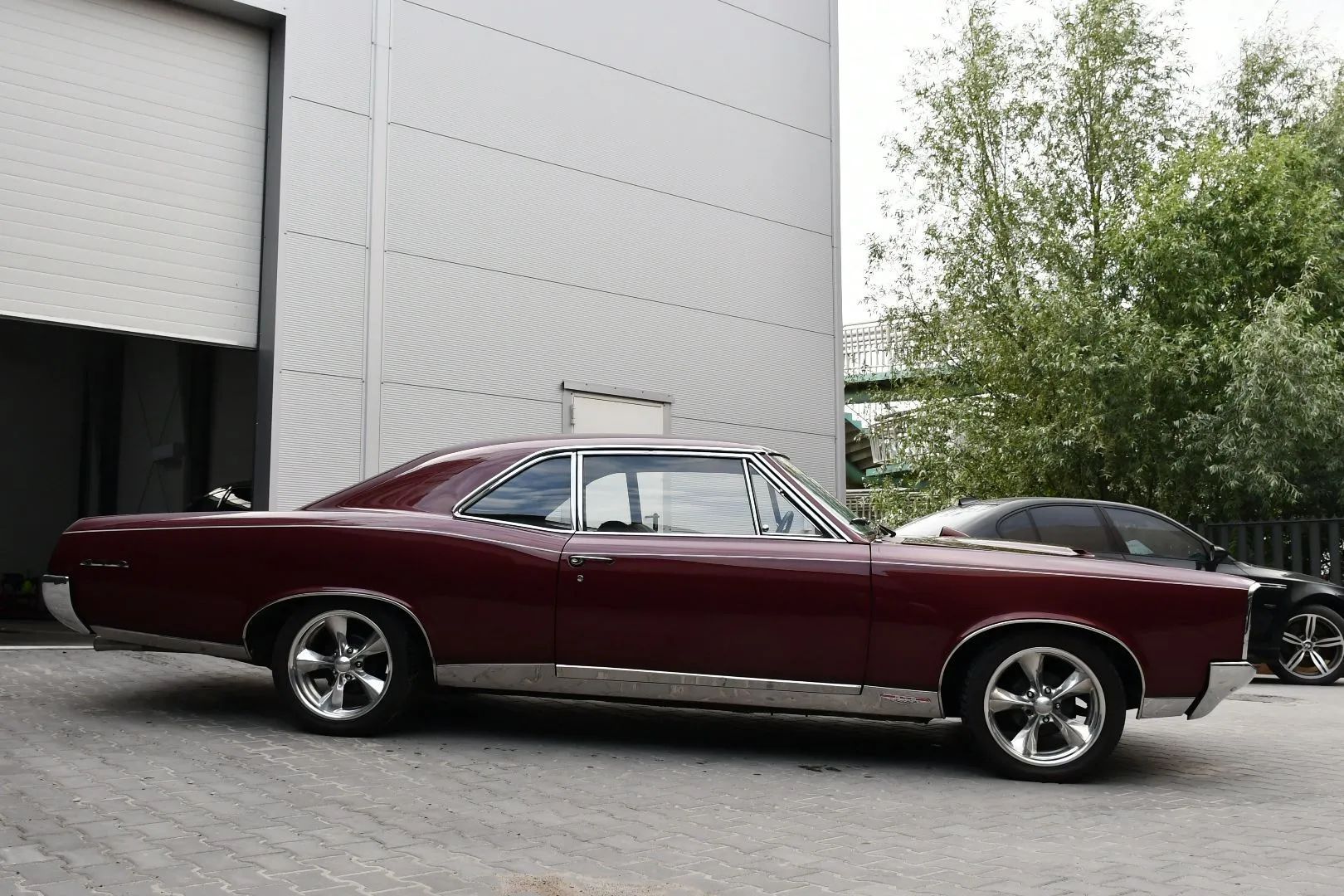 Pontiac GTO